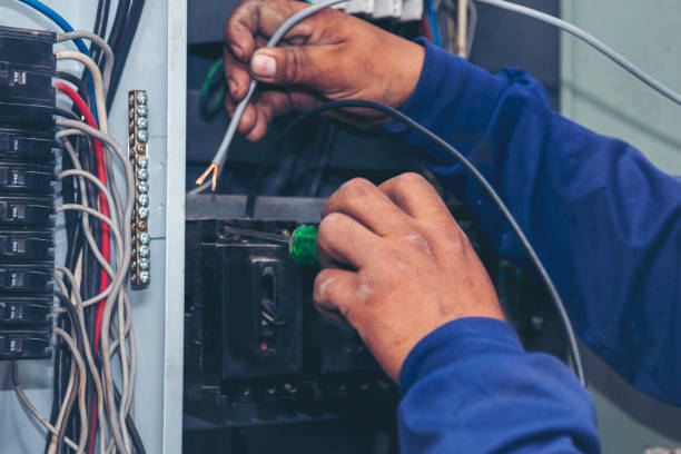 Best Electric Panel Repair  in New Prague, MN